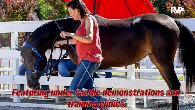 2025 Arabian Nationals - Saturday Mor...