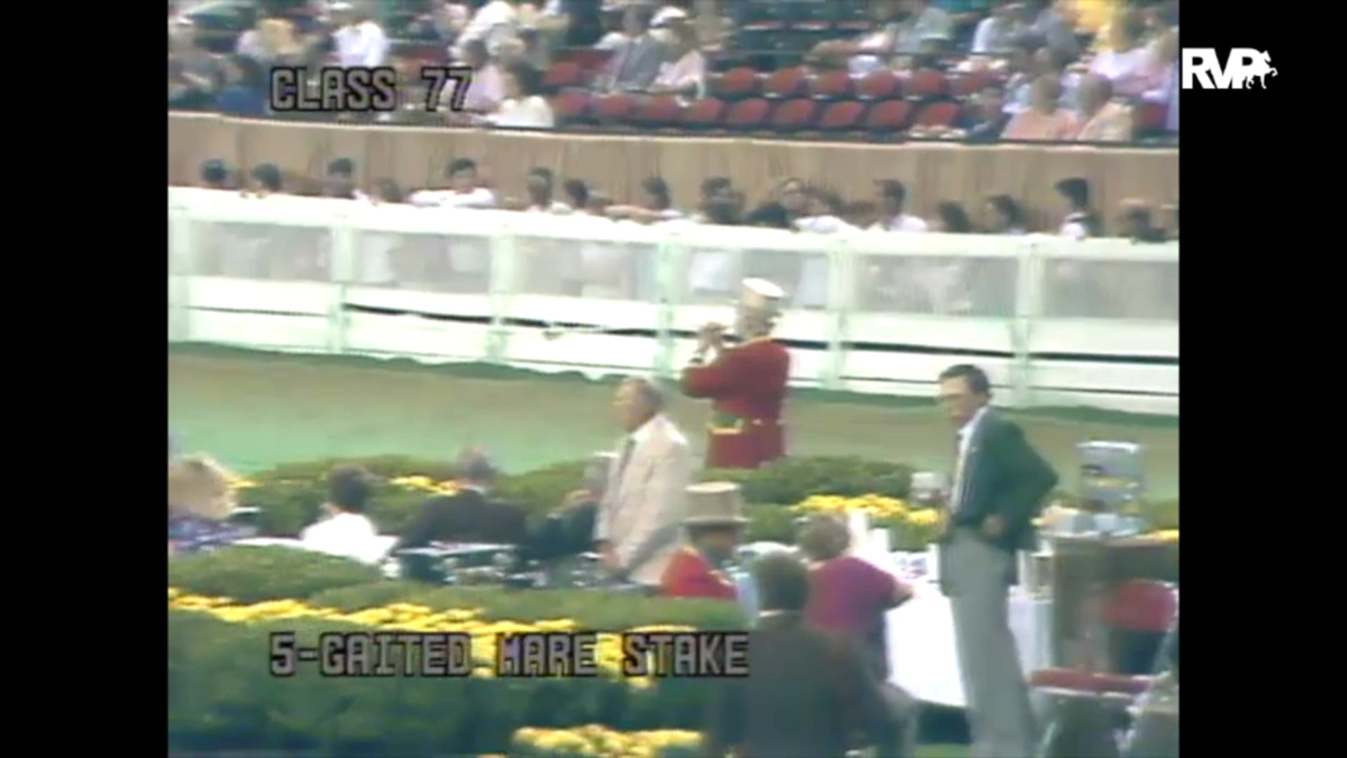 1989 WCHS Class 77 Five Gaited Mare Stake