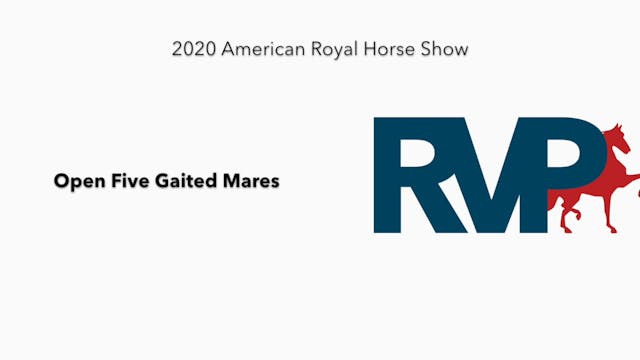 2020 AR - Class 28 Open Five Gaited M...
