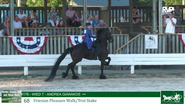 SCF25 - Class 68 - Friesian Pleasure ...
