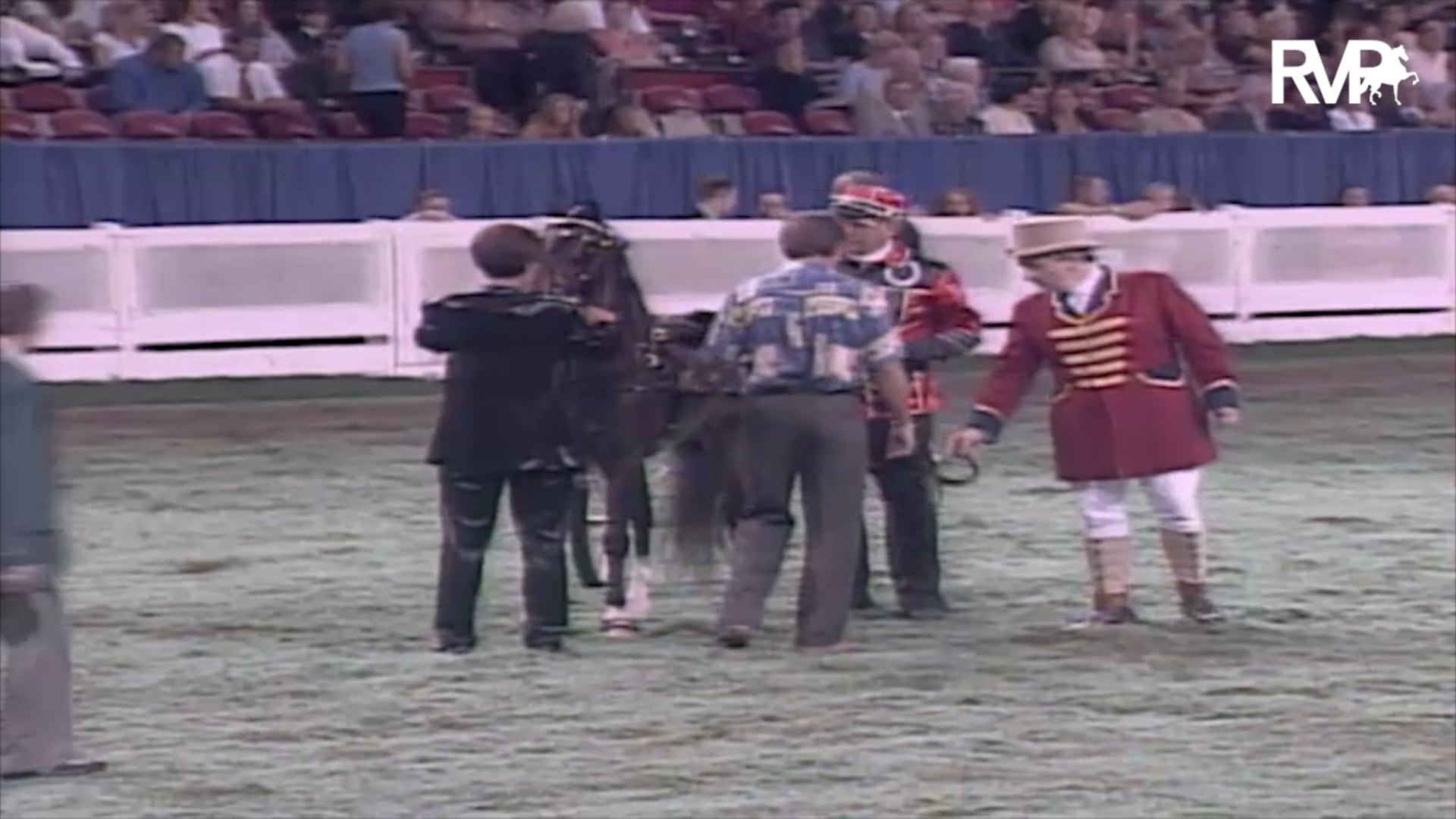 2003 WCHS Class 226 Roadster Pony Grand Championship