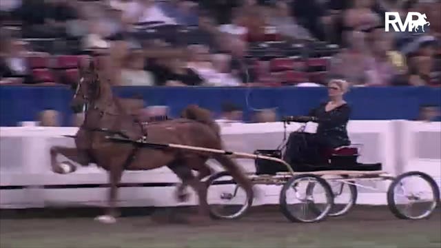 2003 WCHS Class 162 Amateur Fine Harn...