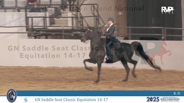 MGN25 - Class 6 - GN Saddle Seat Clas...