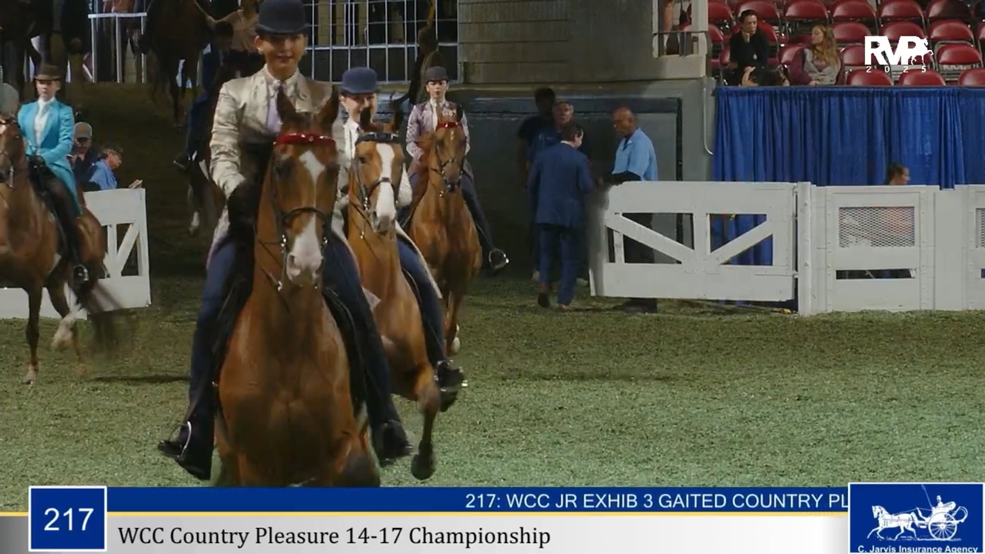 WCHS25 - Class 217 - WCC Country Pleasure 14-17 Championship
