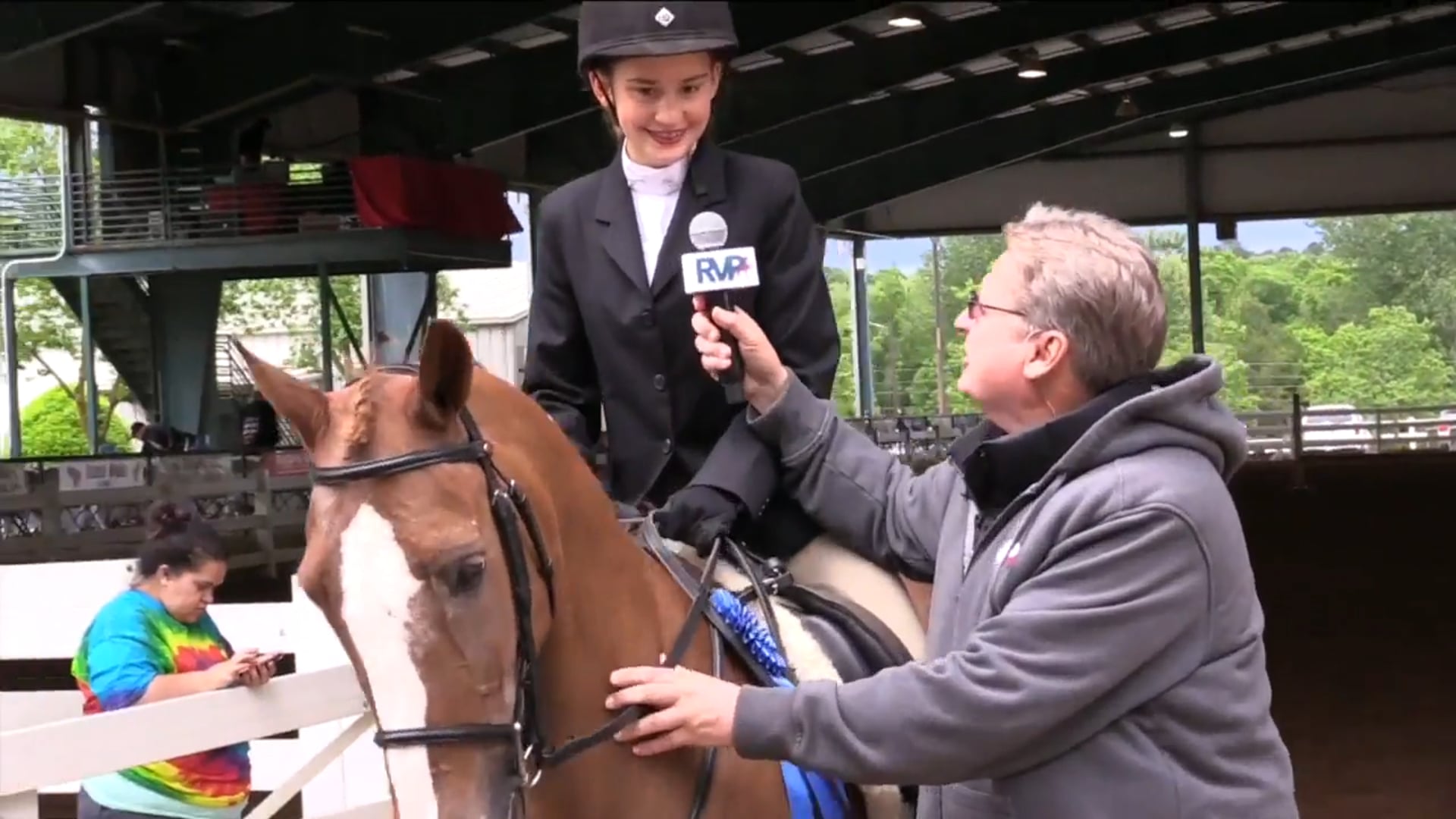 DC17 - Cosmic Chestnut Mare