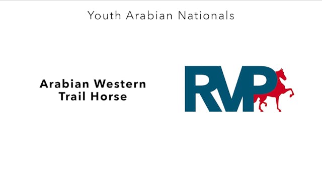 YAN24 - Class 211 - Arabian Western T...