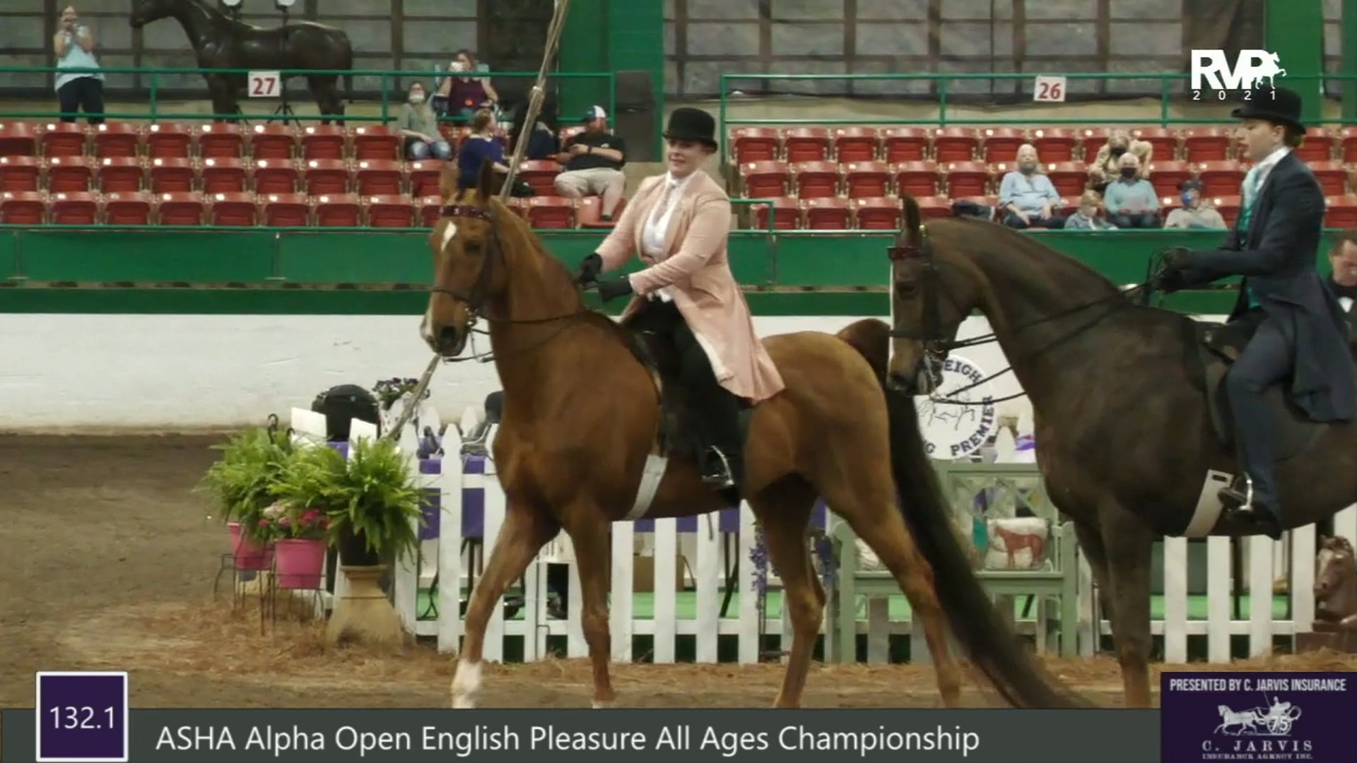 RSP21 - Class 132.1 - ASHA Alpha Open English 
Pleasure All Ages Championship