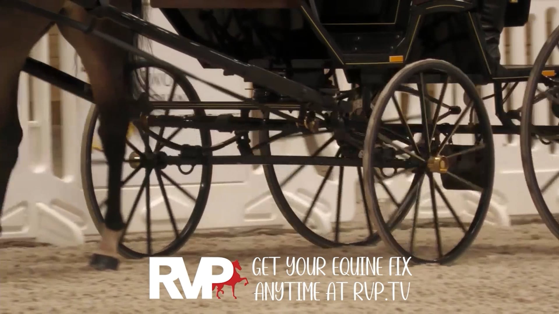 SC25 - Class 7 - Amateur Roadster Pony