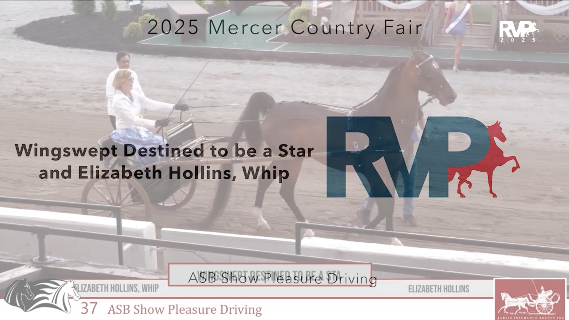 MCF25 - Class 37 - Wingswept Destined to be a Star and Elizabeth Hollins, Whip