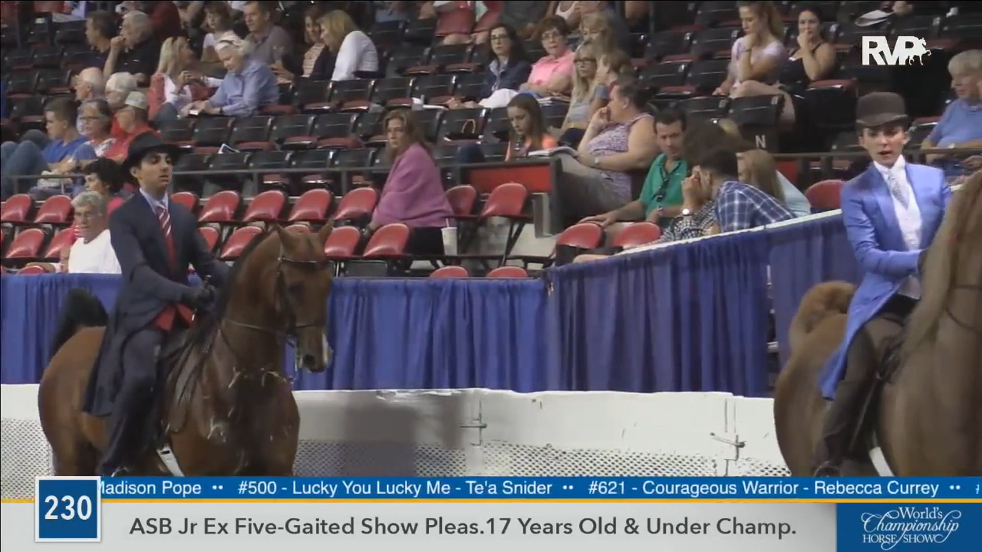 2016 WCHS - Class 230 ASB Junior Exhibitor Five Gaited Show Pleasure 17 & Under Championship
