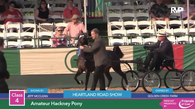 2015 LJL - Class 4 Amateur Hackney Pony