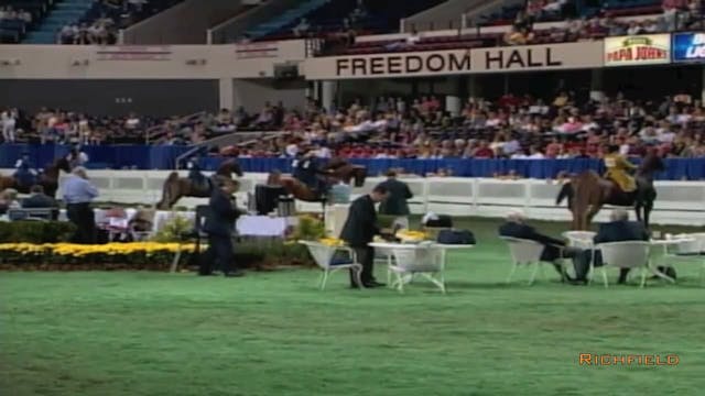 2002 WCHS Class 35 Three Gaited Ponie...