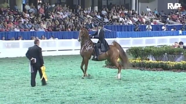 2010 World's Championship Horse Show ...