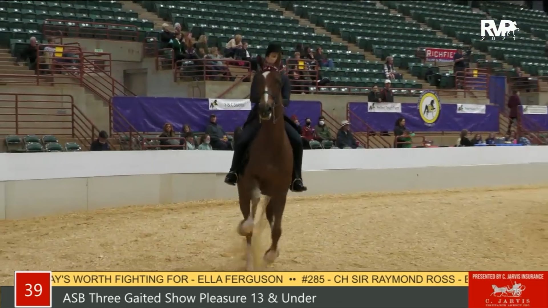 PA21 - Class 39 ASB Three Gaited Show Pleasure, 13 & Under