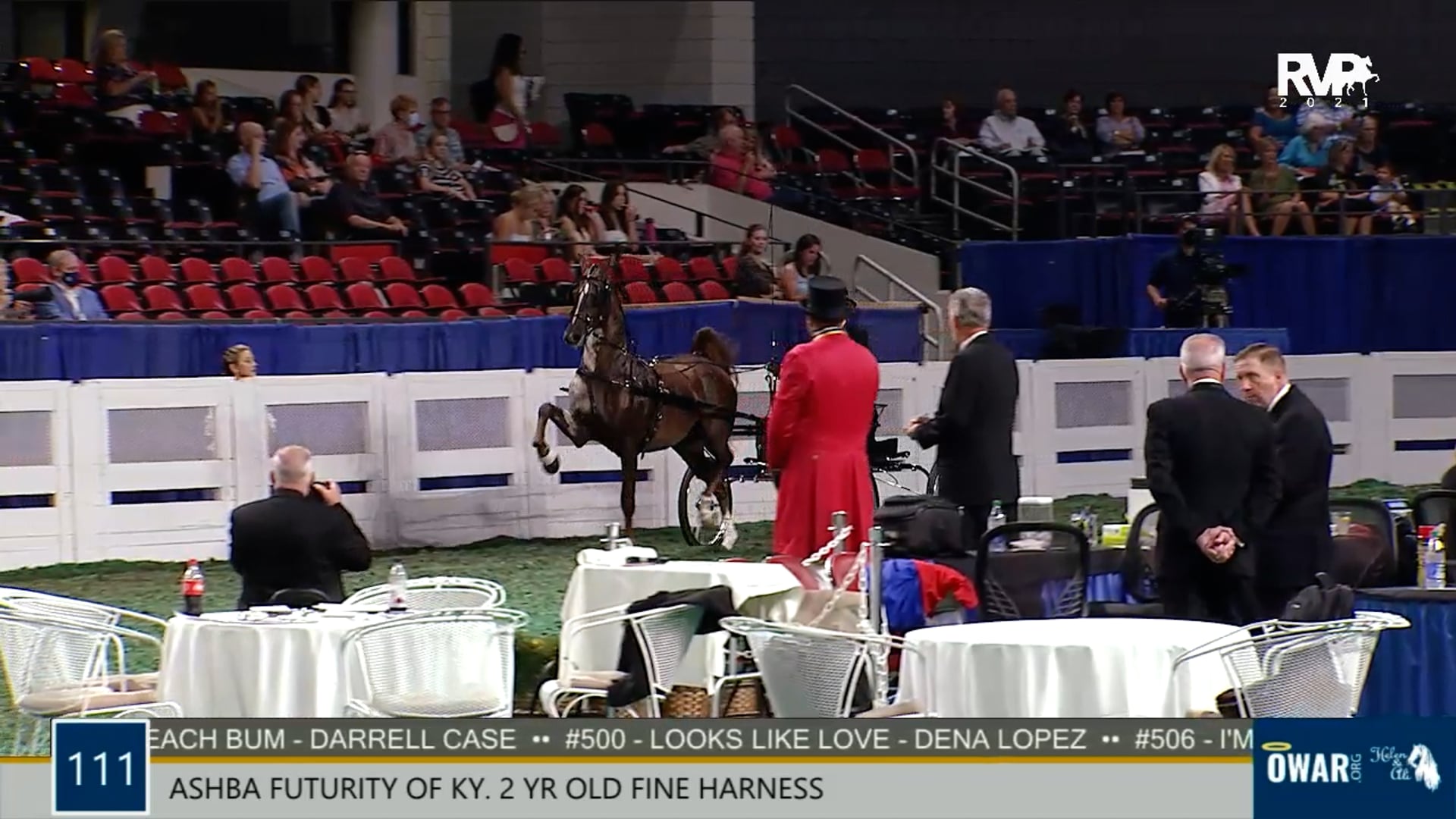 WCHS21 - Class 111 - ASB Futurity Of Kentucky Two-Year-Old Fine Harness