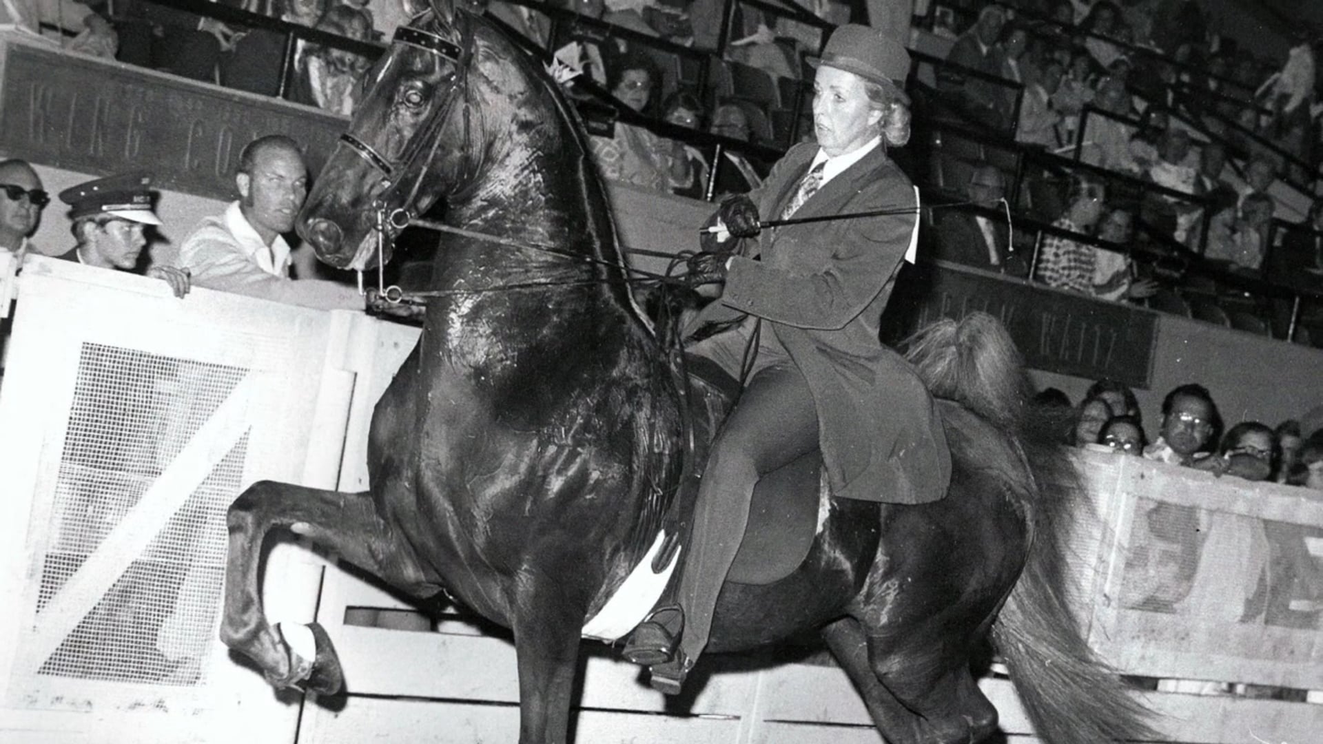 Looking Back on the Careers of Donna and Tom Moore 