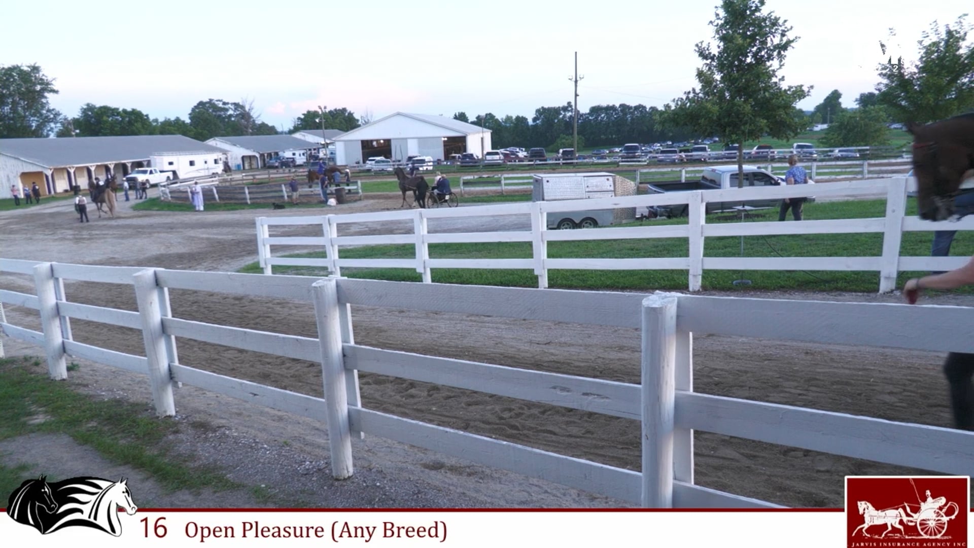 MCF25 - Class 16 - Open Pleasure (Any Breed)