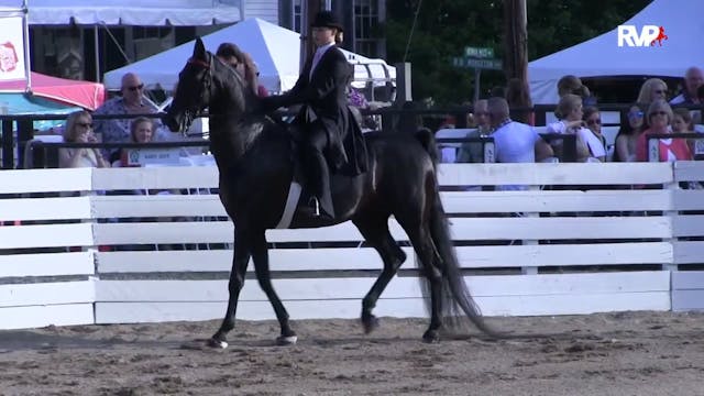 RC15 - Class 45 - Five Gaited Show Pl...
