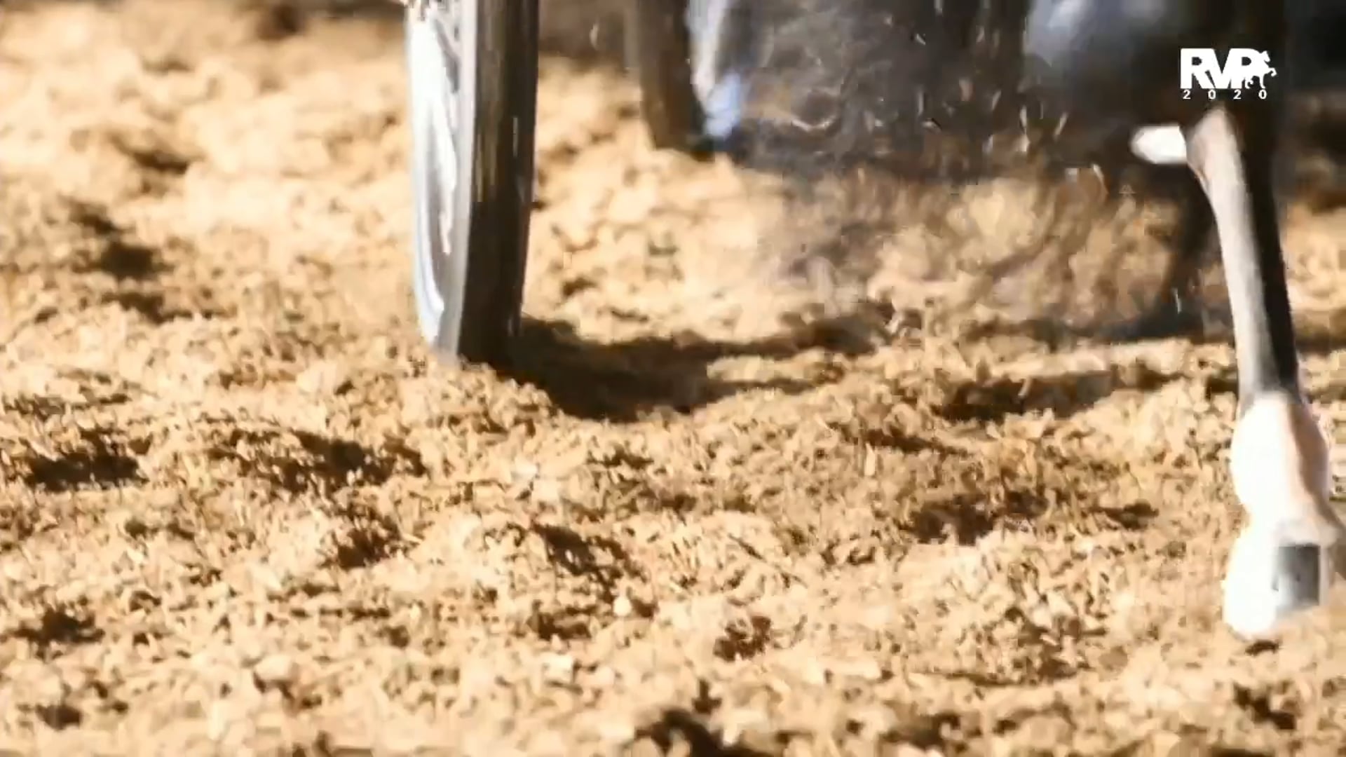 2020 MGN  - 10:10 - Saturday Evening - Performance 