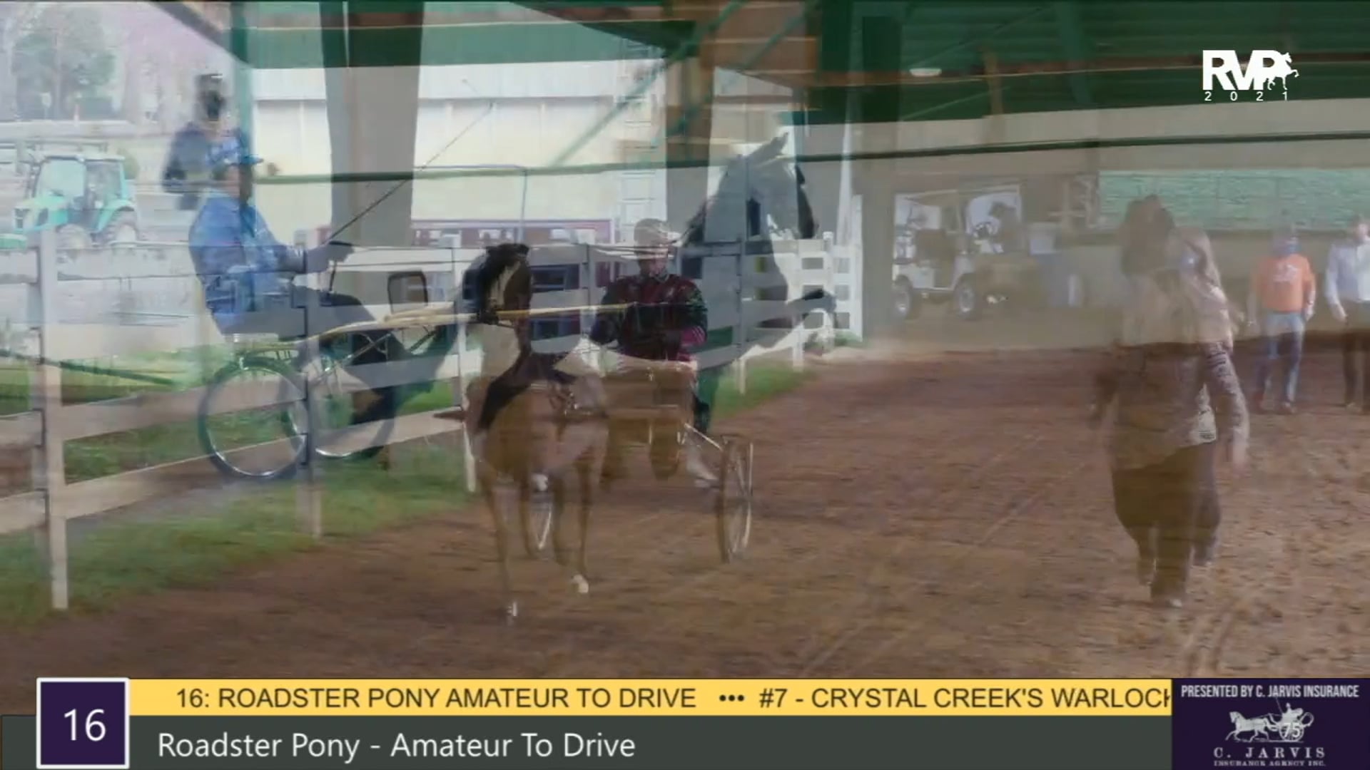 RSP21 - Class 16 - Roadster Pony Amateur To Drive