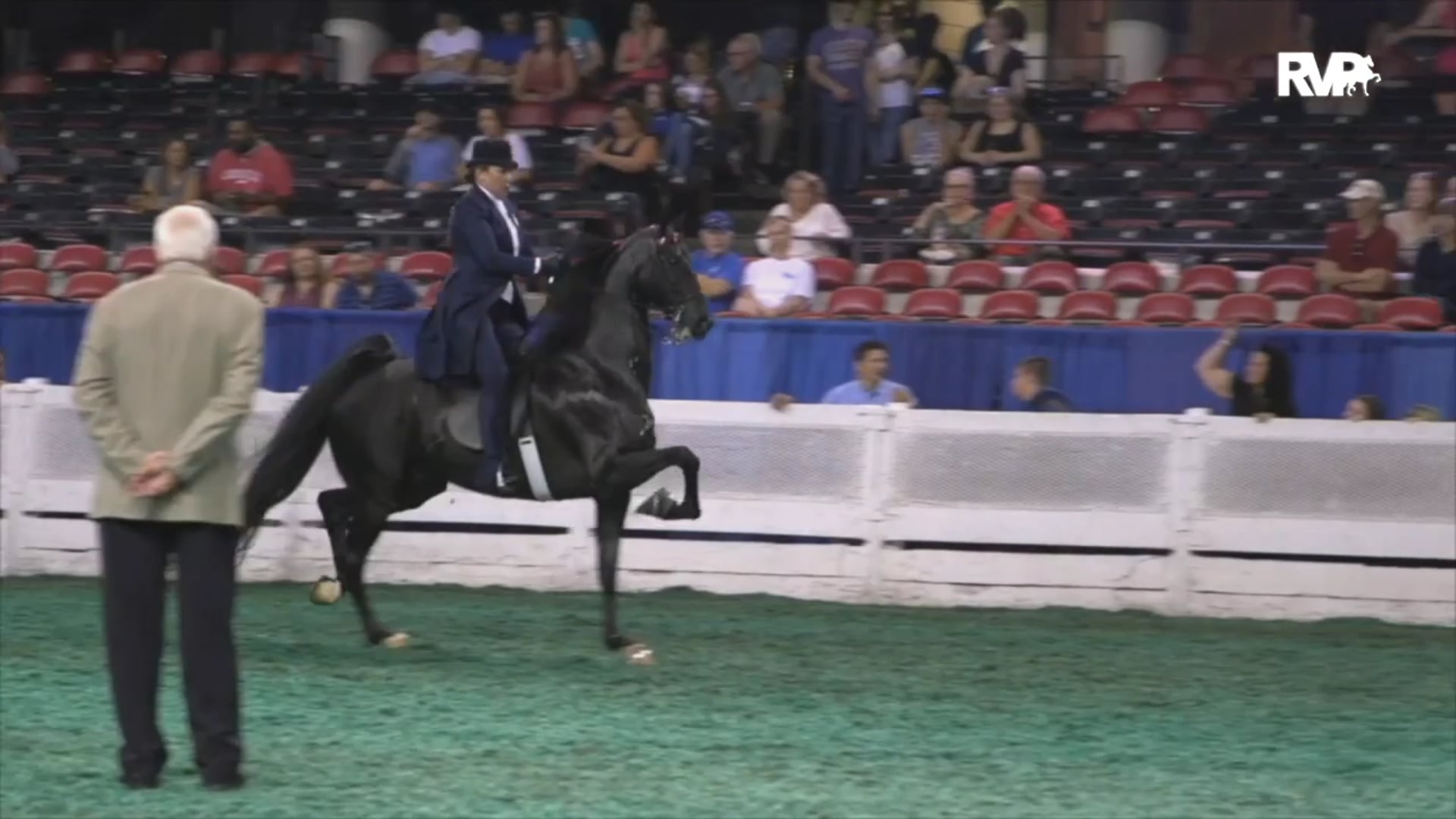 2020 UPHA Chapter 16 Spring Horse Show - Saturday Morning