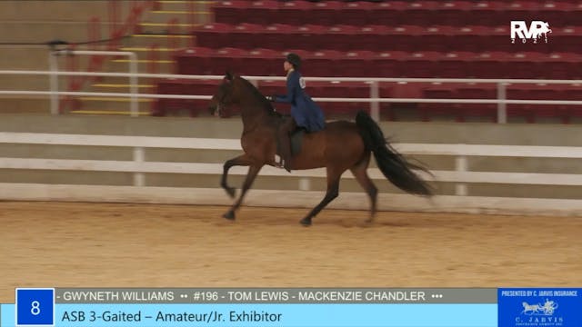 ASW21 - Class 8 - ASB Three Gaited Am...
