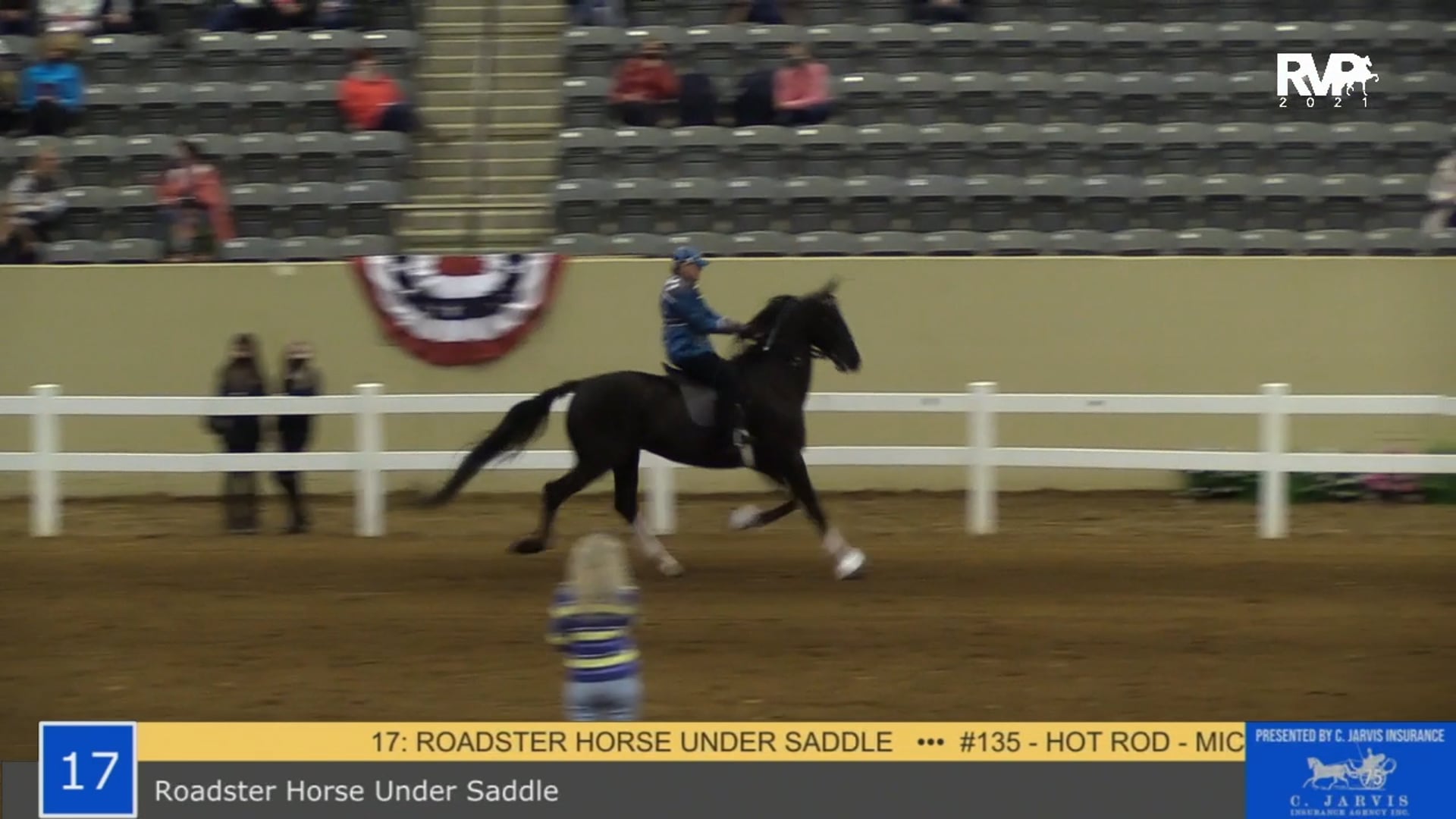 KYSP21 - Class 17 - Roadster Horse Under Saddle