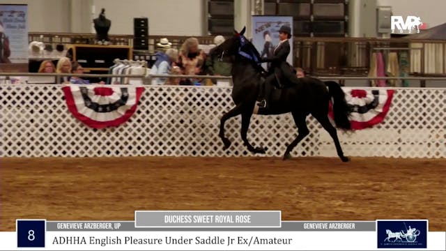 2023 All American Horse Classic - Wed...