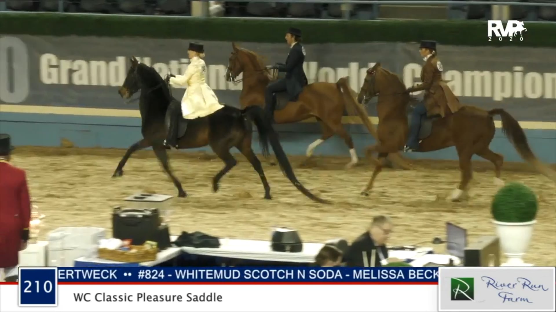 2020 MGN - Class 210 WC Classic Pleasure Saddle