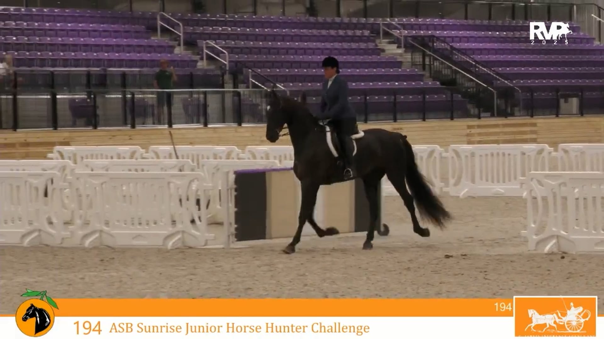 CC25 - Class 194 - ASB Sunrise Jr Horse Hunter Challenge