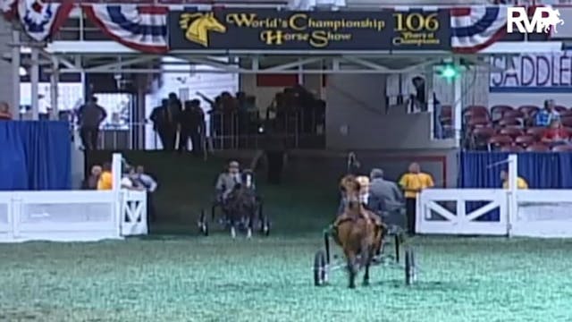 2009 World's Championship Horse Show ...