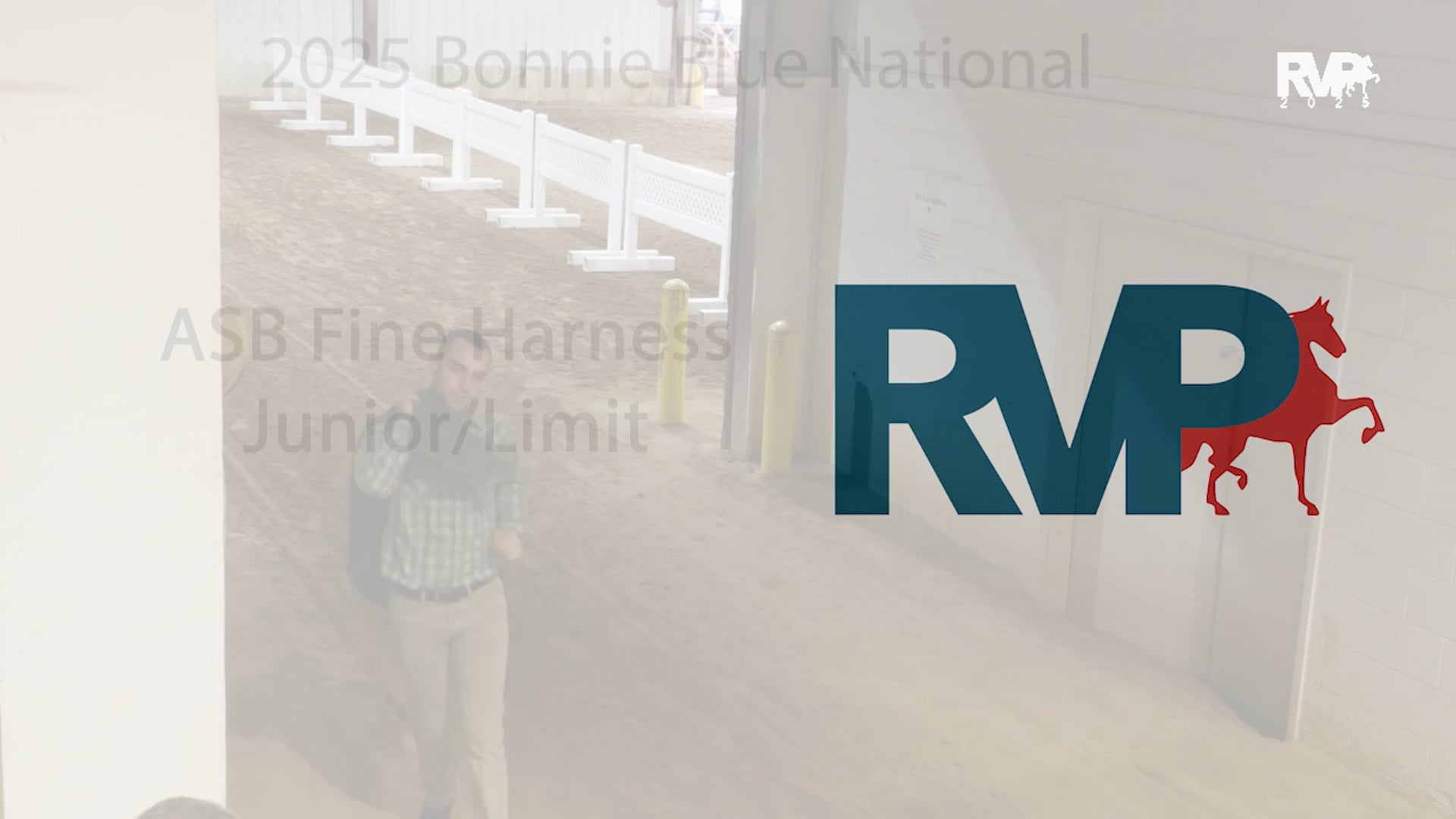 BB25 - Class 99 - ASB Fine Harness Junior & Limit