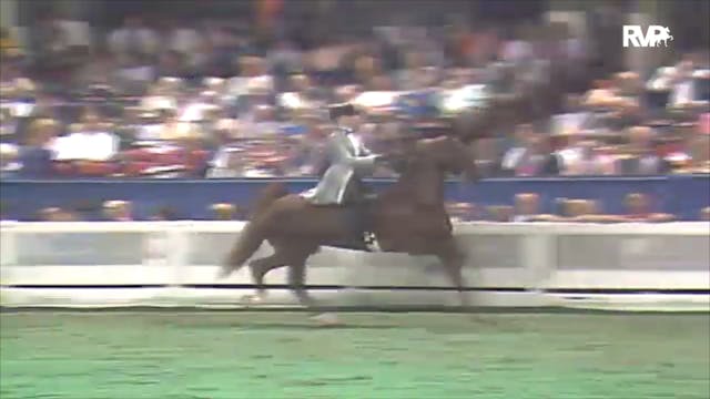 1992 WCHS Class 165 Junior Exhibitor ...