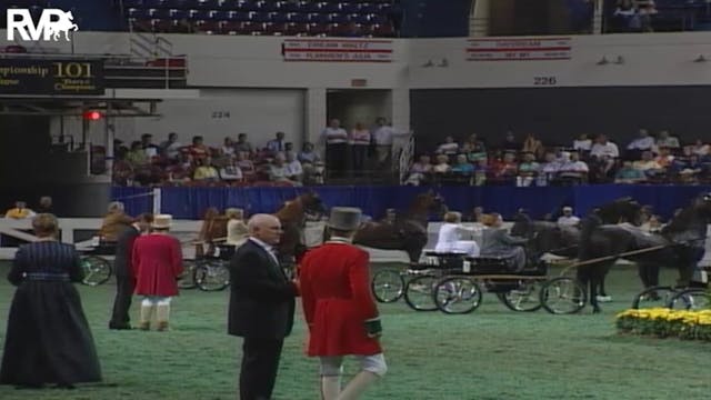 2004 World's Championship Horse Show ...