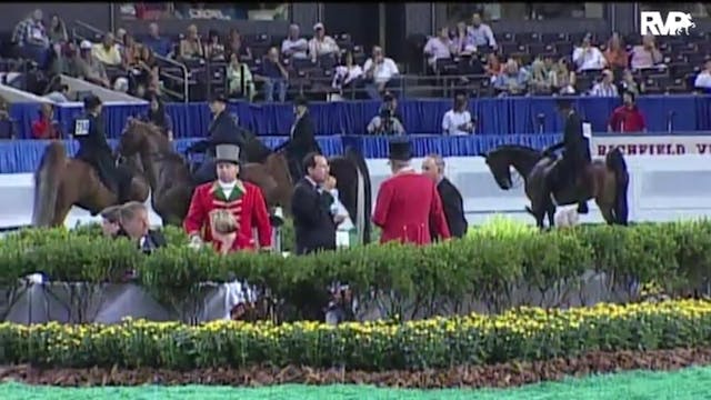 2010 World's Championship Horse Show ...