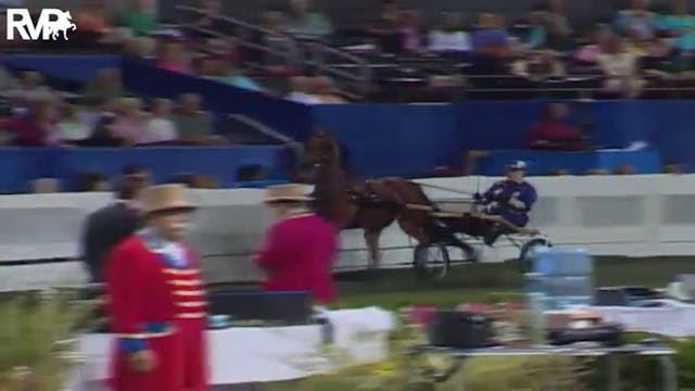 2004 World's Championship Horse Show ...