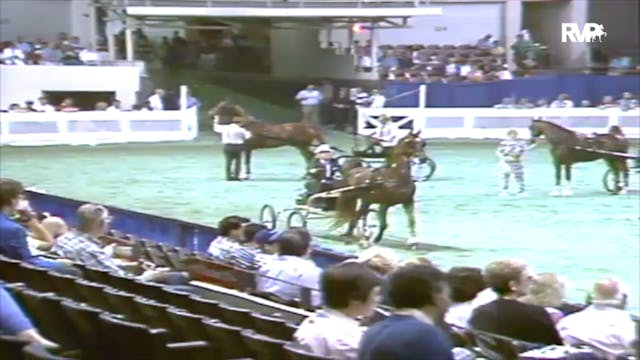 1991 WCHS Class 58 Amateur Fine Harne...