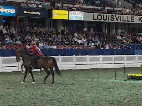 2008 WCHS Class 223 Road Horses Under...