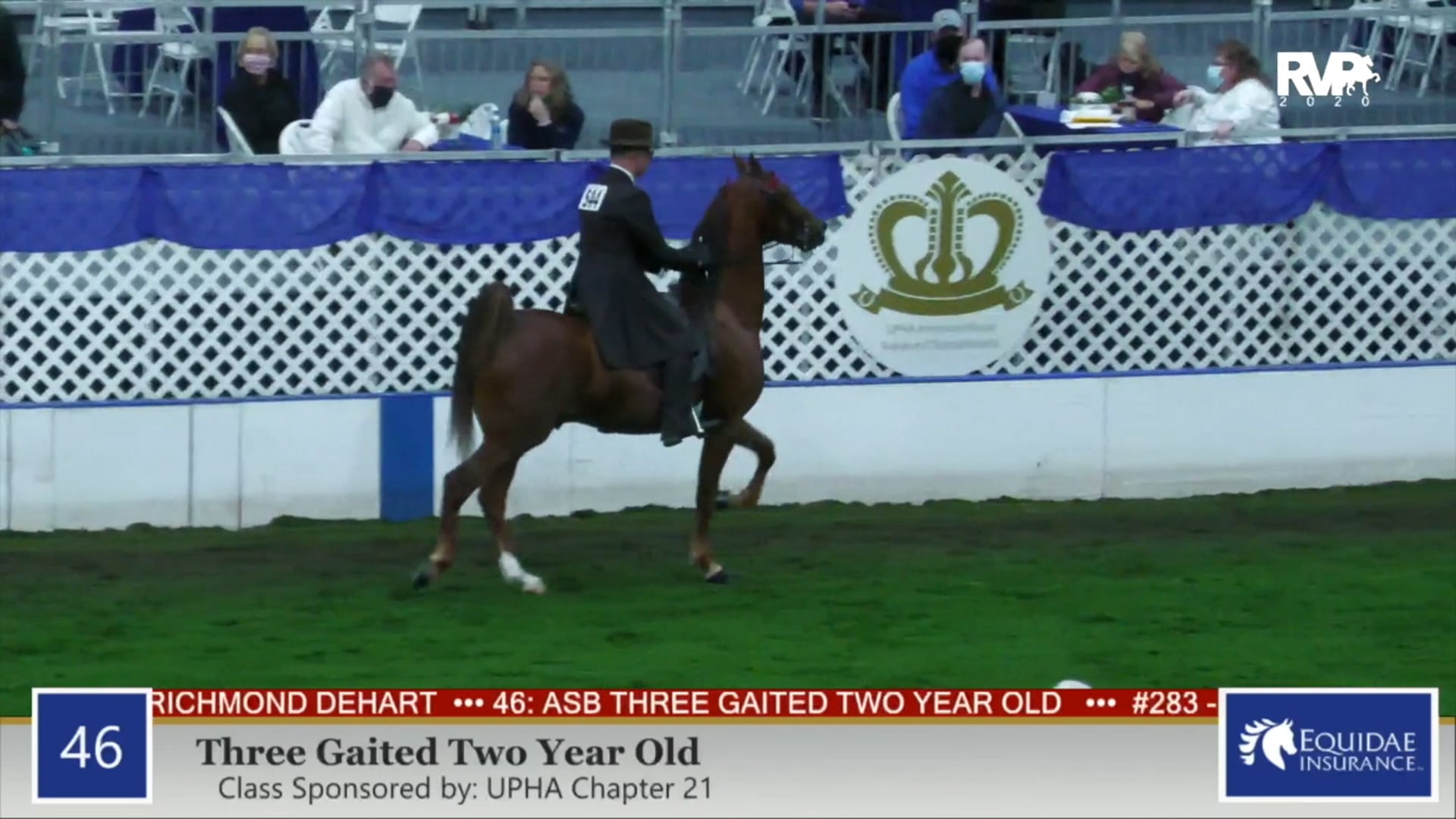 2020 AR - Class 46 Three Gaited Two Year Old