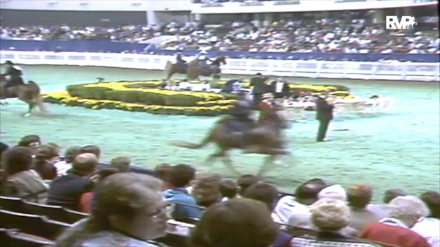 1991 WCHS Class 83 Five Gaited Mare S...