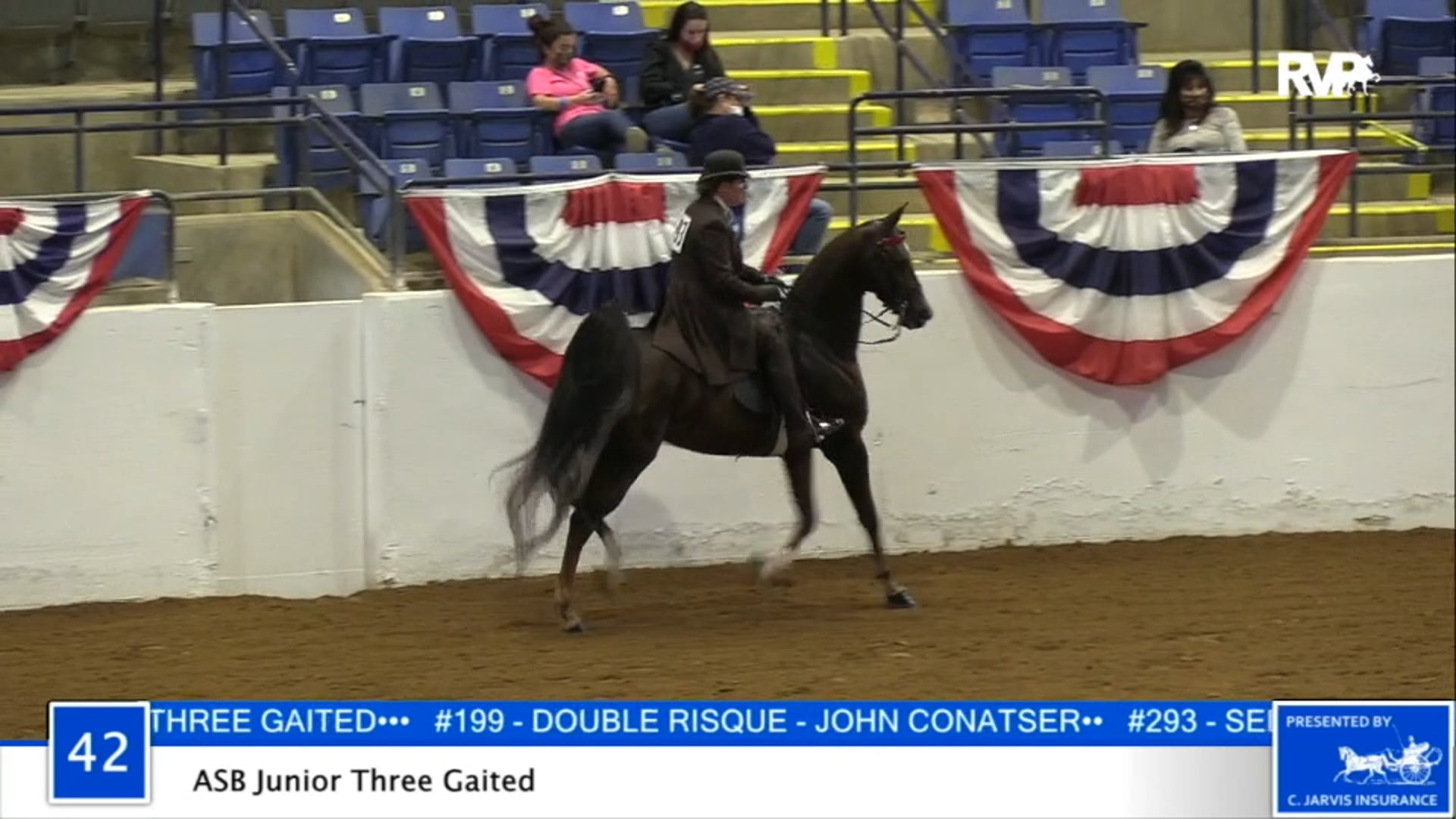 2020 BB - Class 42 ASB Junior Three Gaited