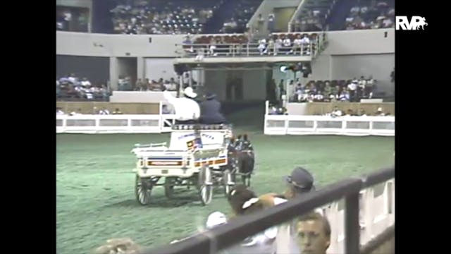 1988 WCHS Domino Pizza Horses