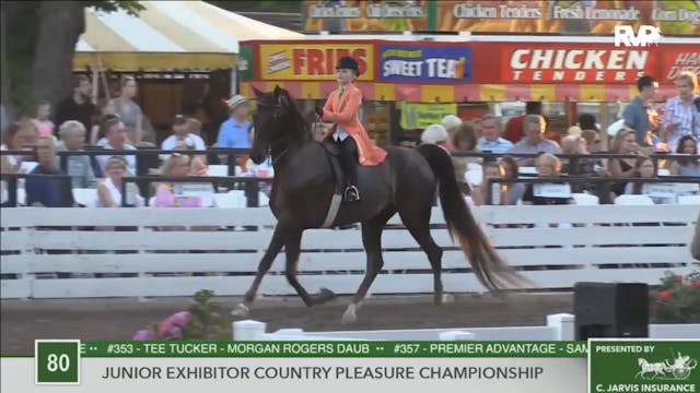2016 RC - Class 80 Junior Exhibitor C...