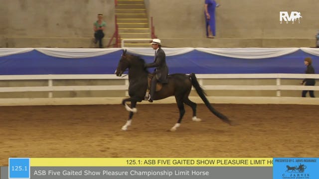 BR21 - Class 125.1 - ASB Five Gaited ...