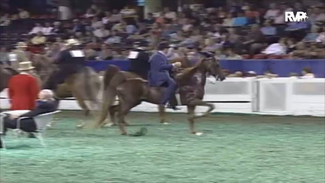 2006 WCHS Class 57 Junior Five Gaited...