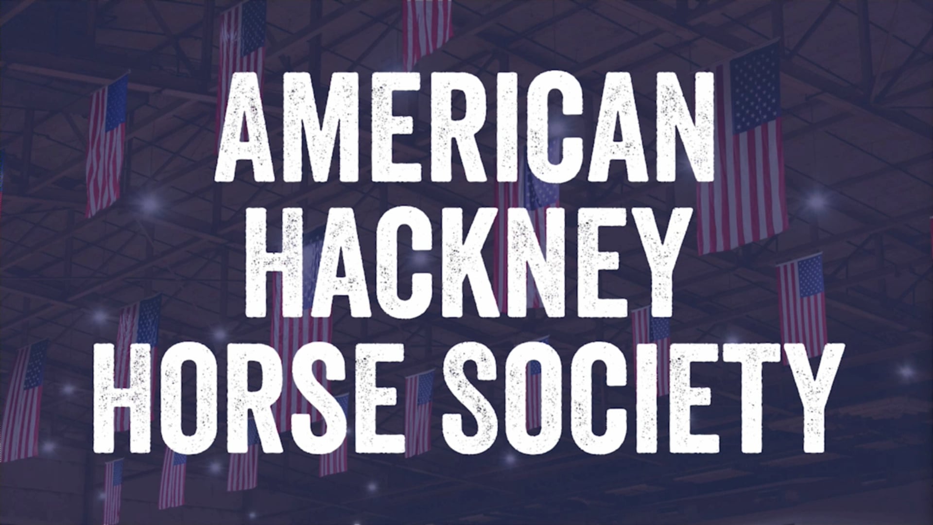2024 American Royal National Championship - Monday Afternoon 