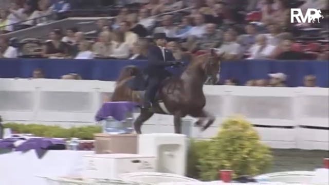 2007 WCHS Class 94 Amateur Three Gait...