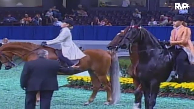 2009 World's Championship Horse Show ...