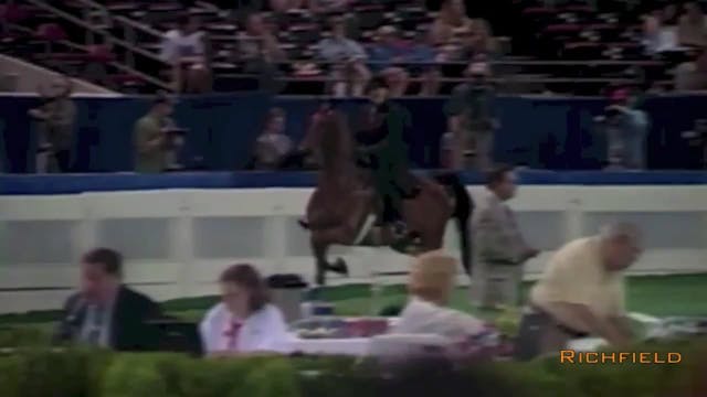 2001 WCHS - Class 32 - Three Gaited S...