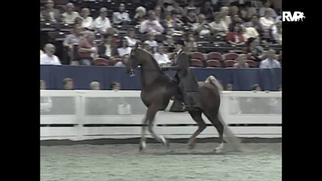 1997 WCHS - Class 82 Junior Exhibitor...